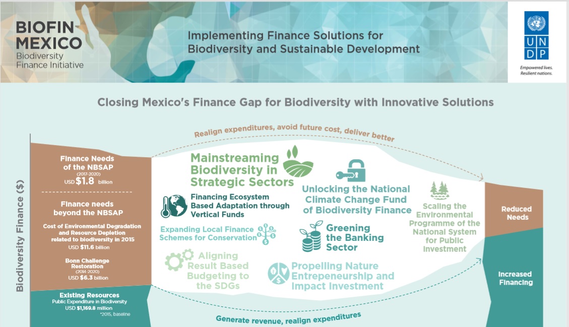 Mexico's Finance Solutions Poster
